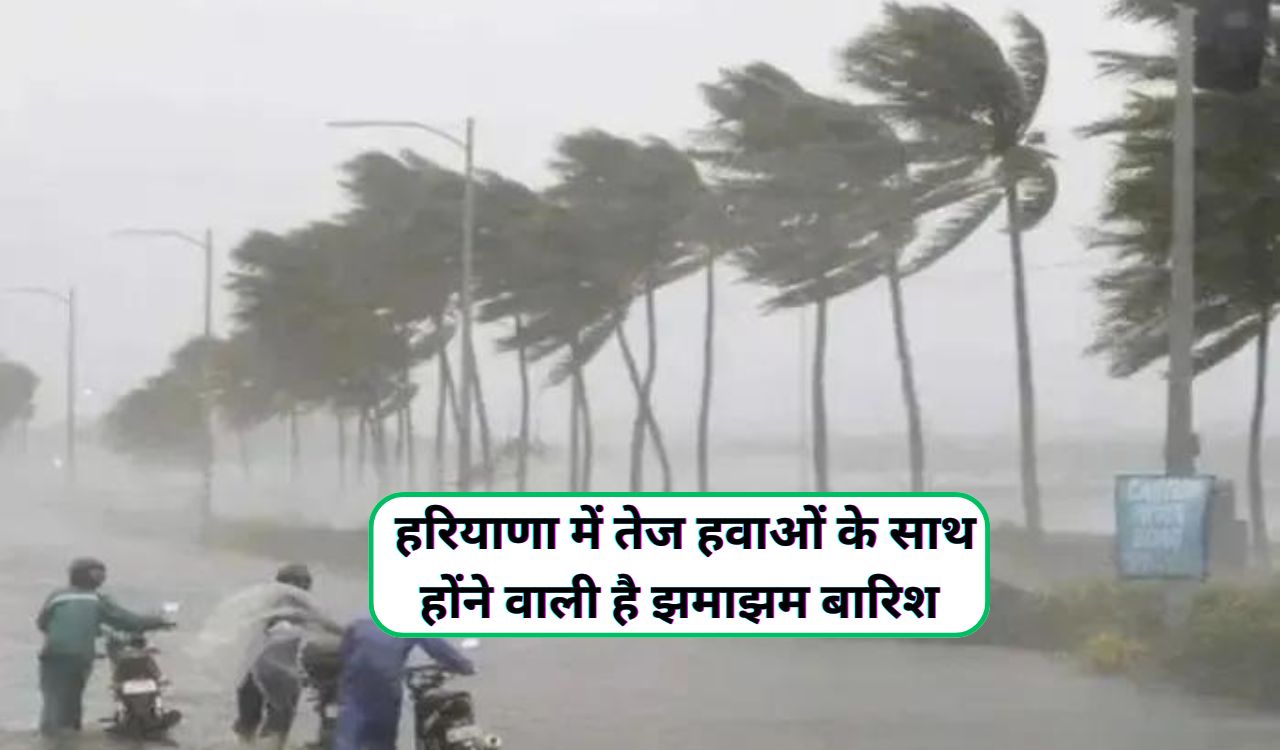 Haryana Me Barish Hogi : हरियाणा में तेज हवाओं के साथ होंने वाली है झमाझम  बारिश,चिलचिलाती गर्मी से मिलने वाला है छुटकारा - dharataltimes.com