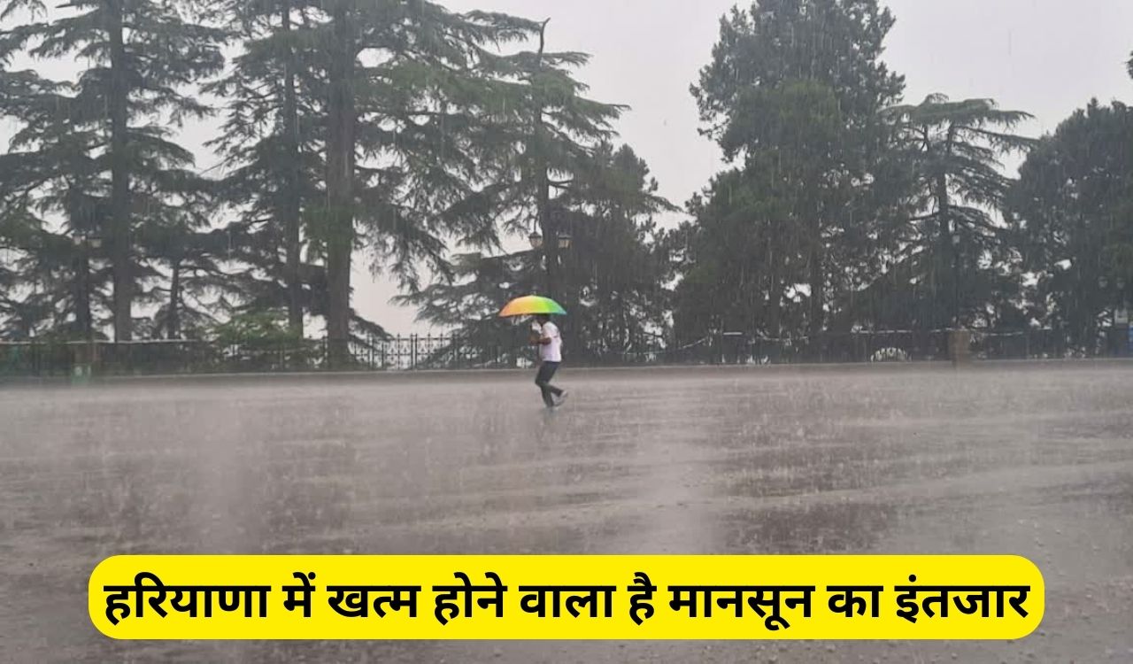 Haryana weather News: हरियाणा में खत्म होने वाला है मानसून का इंतजार, भीषण  गर्मी के बीच मिली राहत भरी खबर, जाने कब आएगा मानसून? - dharataltimes.com