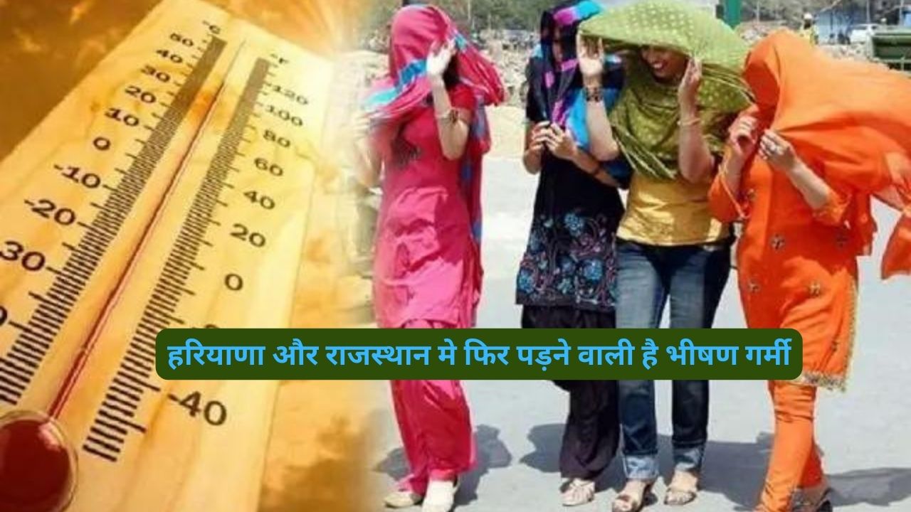 Heat Wave Alert Haryana