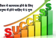 Kaamyaab Insan Ke Gun