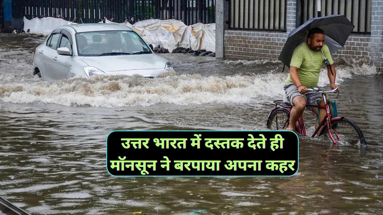 Monsoon Update 30 June 2024 : उत्तर भारत में दस्तक देते ही मॉनसून ने बरपाया अपना कहर, हर तरफ नजर आ रहा पानी ही पानी - dharataltimes.com