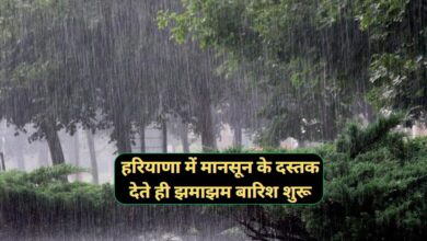 Monsoon Update Haryana