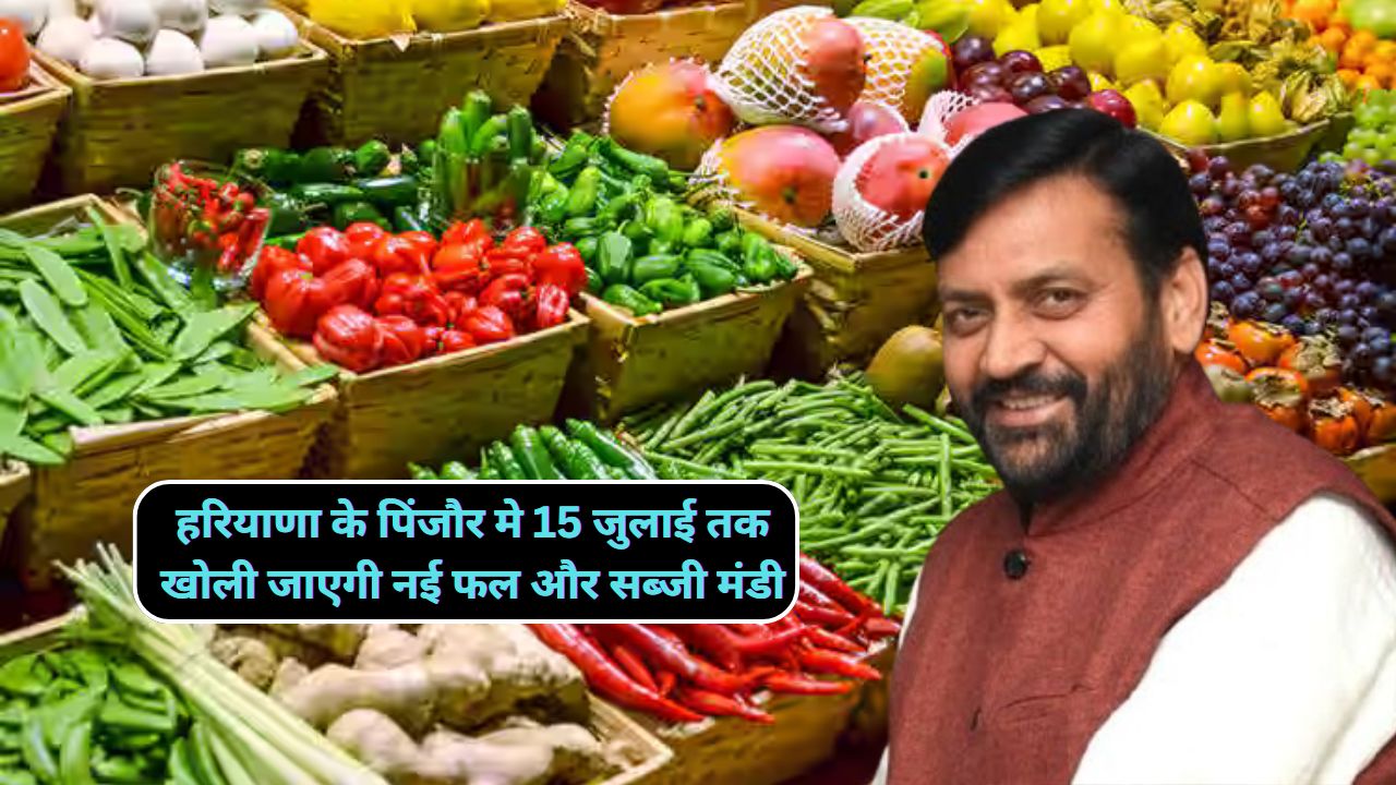 New Fruit and Vegetable Market Pinjore