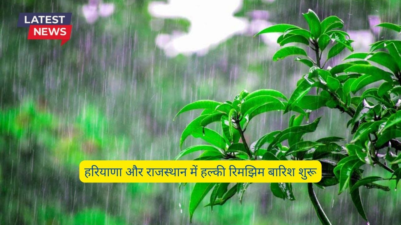 Monsoon Forecast Today 25 July 2024