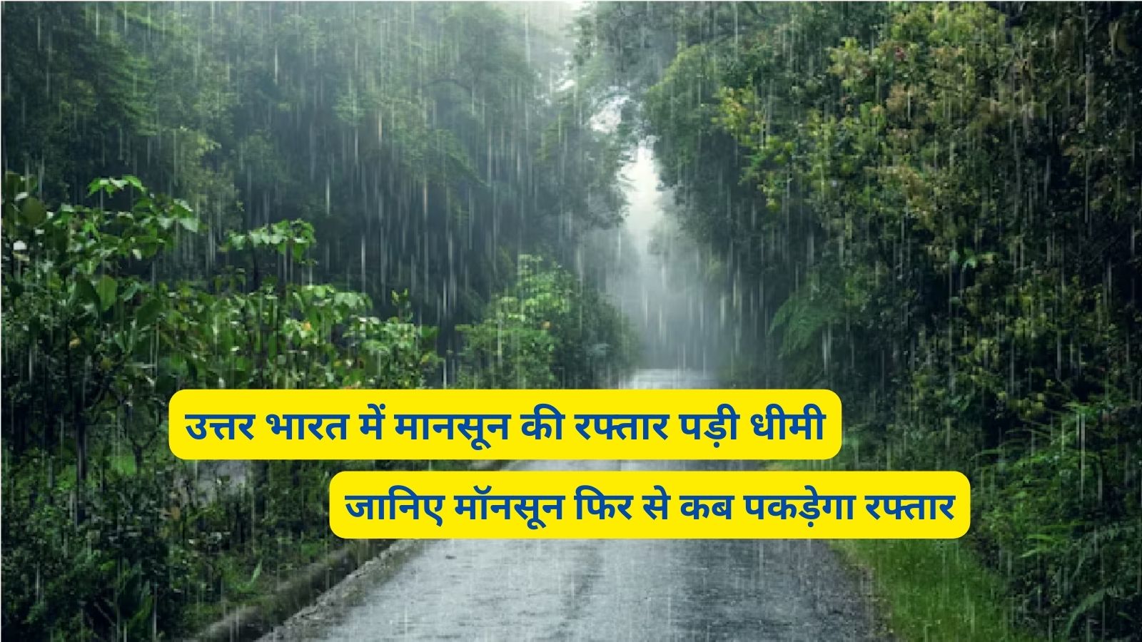 Monsoon Forecast 8 July 2024