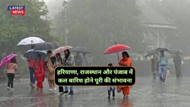Monsoon Forecast News 24 July 2024