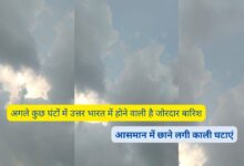 Monsoon Forecast Today 24 July