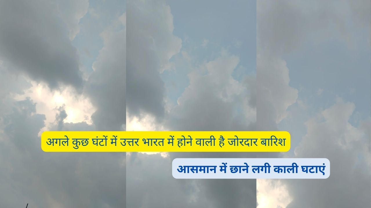 Monsoon Forecast Today 24 July