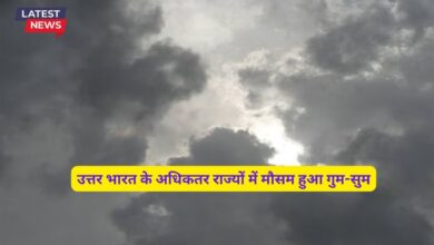 Monsoon Forecast Today 25 July 2024