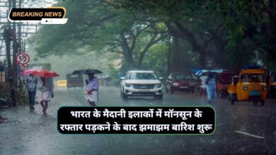 Monsoon Forecast Today News 25 July