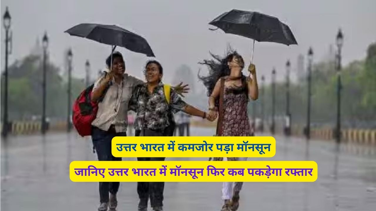 Monsoon News Today 9 July 2024