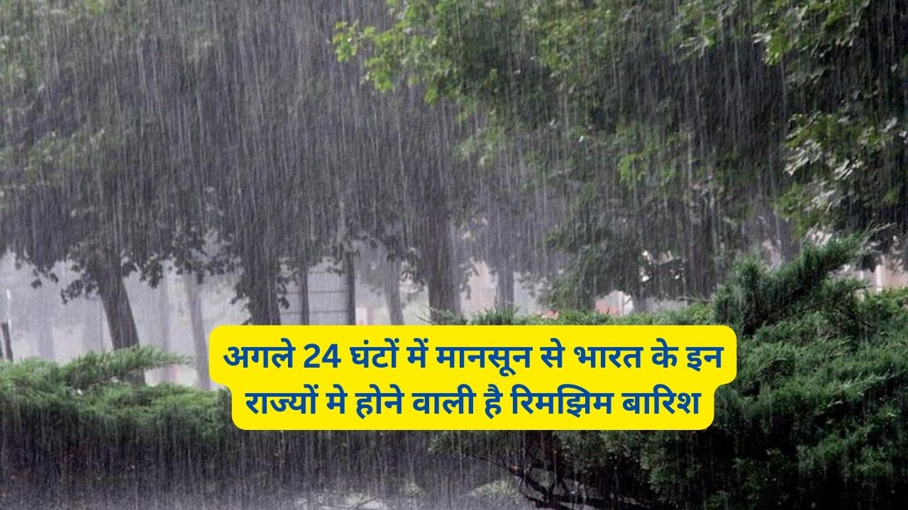 Monsoon Forecast Today 23 July