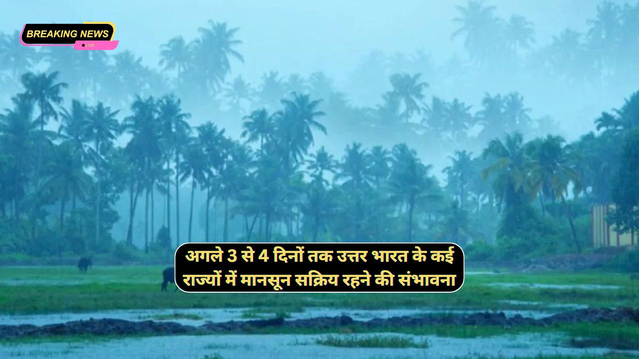 Rain Alert Today 17 July 2024