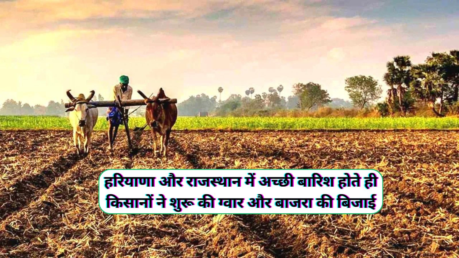 Kissan Samachar