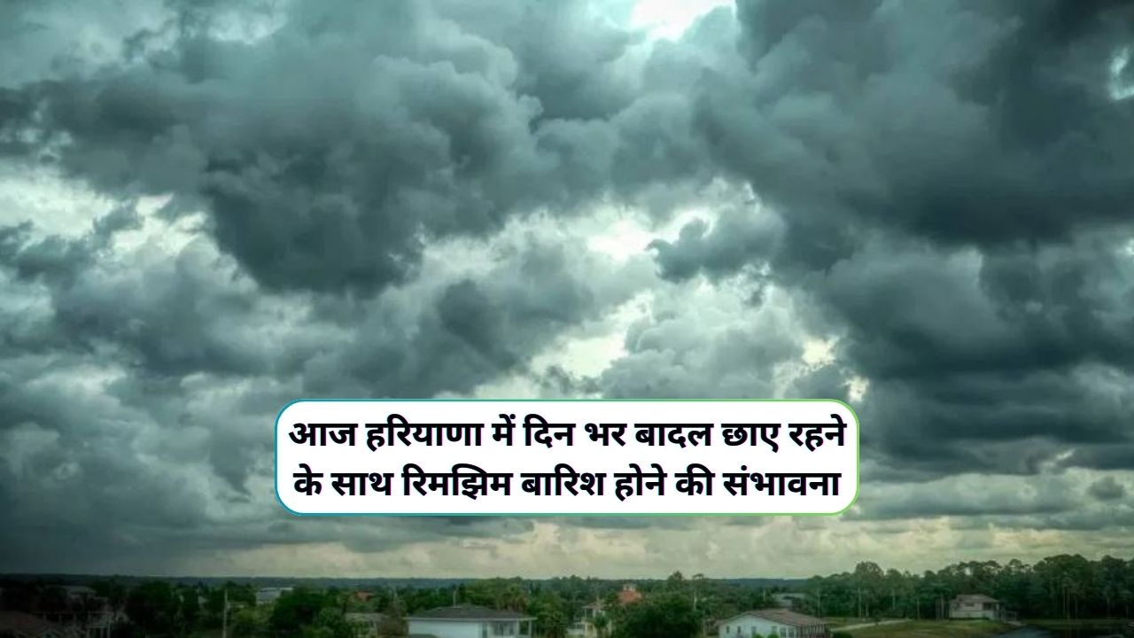 Monsoon Forecast Haryana 16 August 2024