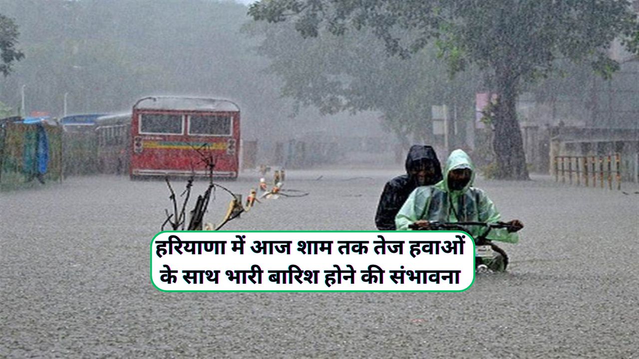 Monsoon Update Haryana 24 August