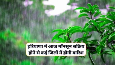 Monsoon Forecast Haryana 20 September