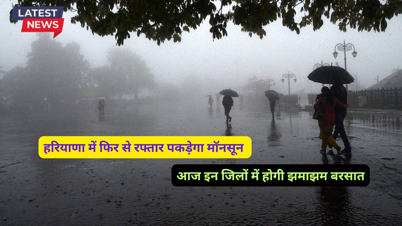 Monsoon Forecast Haryana 8 September