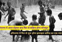 Monsoon Update Haryana 12 September