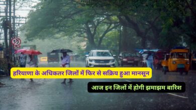 Monsoon Update Haryana 13 September