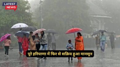 Monsoon Update Haryana 14 September