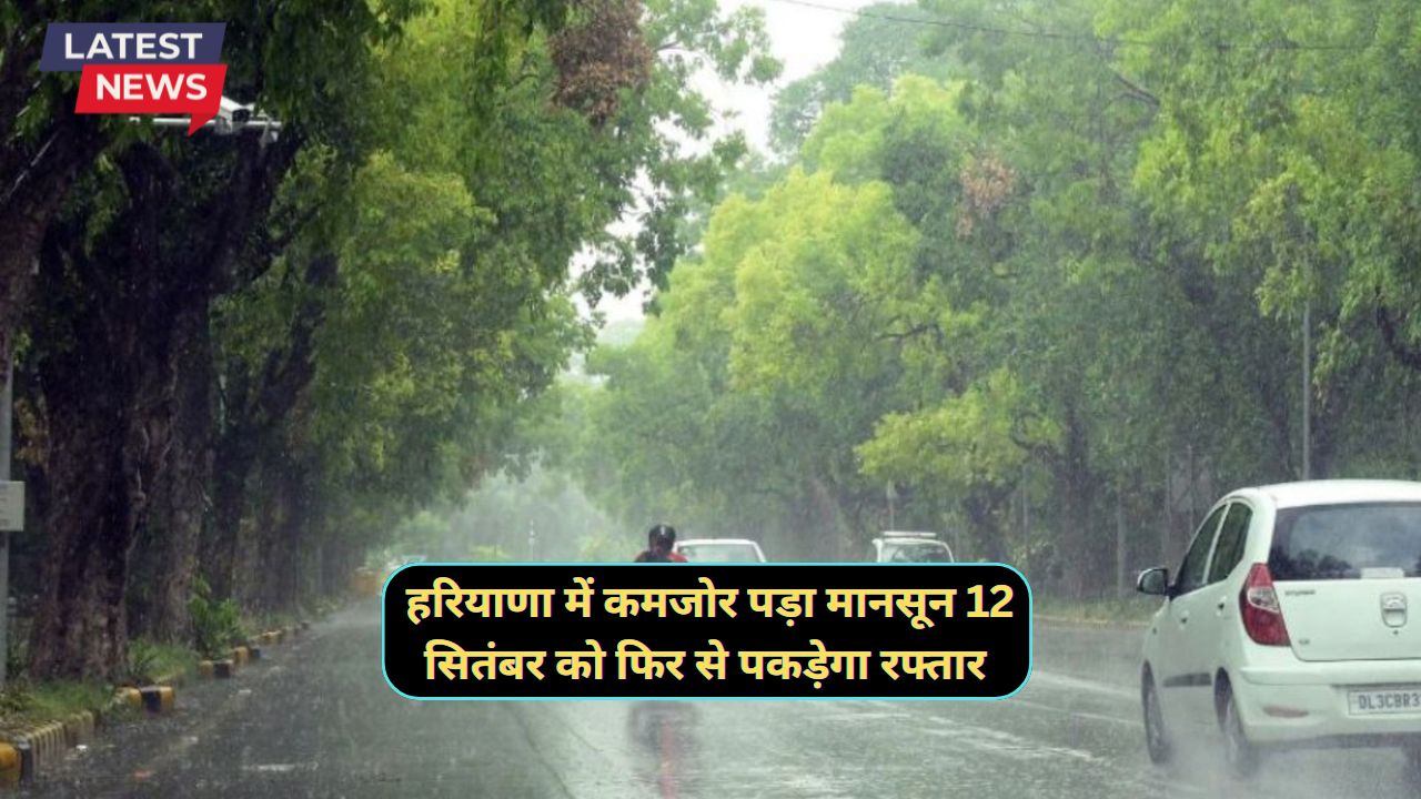 Monsoon Update Haryana 8 September