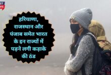 Mausam Forecast Today 29 November