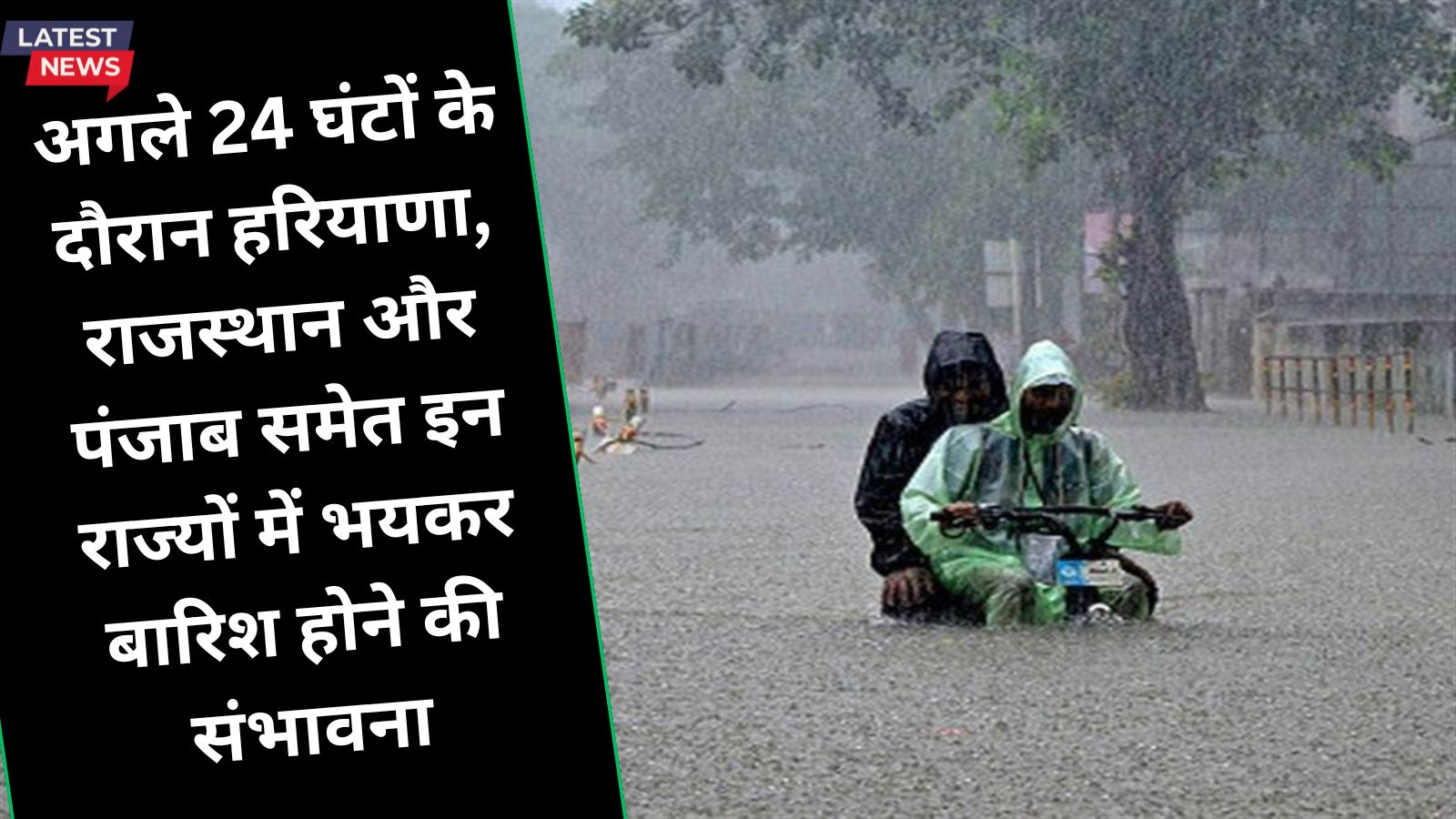  हरियाणा, राजस्थान और पंजाब के अधिकतर जिलों में सरसों, गेहूं और जौ की फसलों पर जमी बर्फ, 