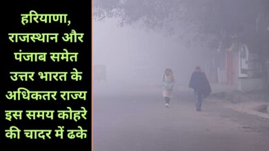 Fog Alert 21 December 2024