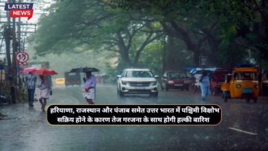 Mausam Forecast 15 December 2024