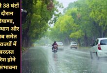 Mausam Forecast 24 December 2024