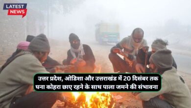 Mausam Update 14 December 2024