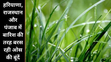 Cold Wave Alert 15 January