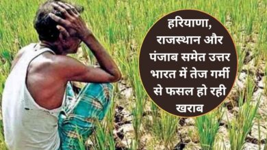 Aaj Dohpar Ka Mausam