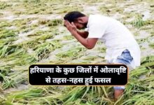 Haryana Ka Mausam