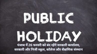 Public Holidays Punjab