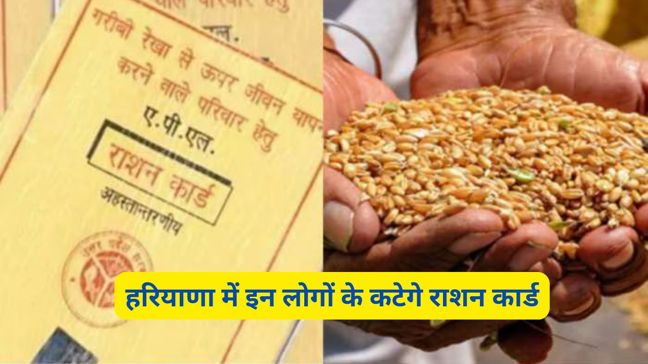 Ration Card : हरियाणा में राशन कार्ड धारकों के लिए Bed News, हरियाणा में इन लोगों के कटेगे राशन कार्ड - dharataltimes.com