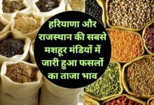 Aaj Ka Mandi Bhav