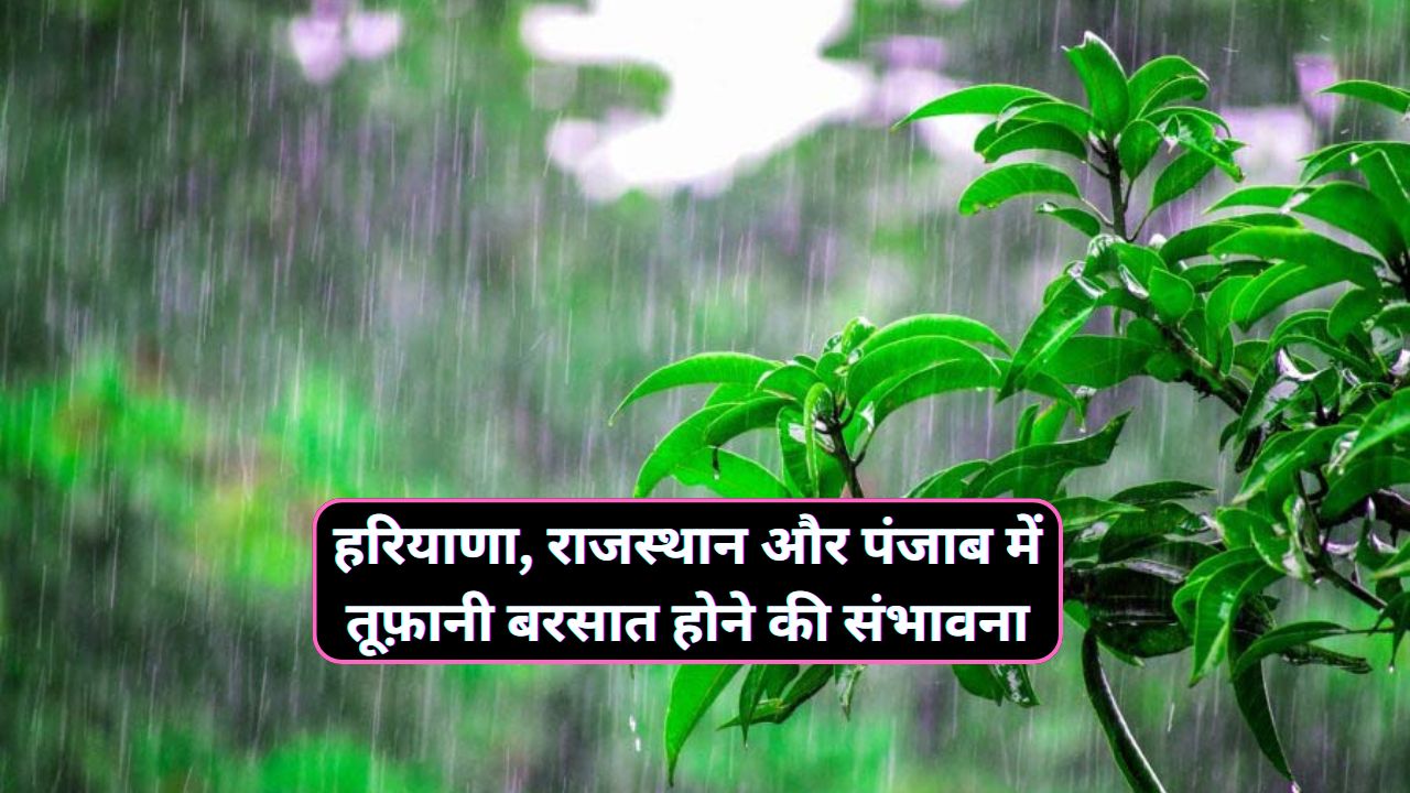 Aaj Sham Ka Mausam : हरियाणा, राजस्थान और पंजाब में दस्तक देने की फूल तैयारी में एक नया पश्चिमी विक्षोभ, आने वाले दिनों में हरियाणा, राजस्थान और ...