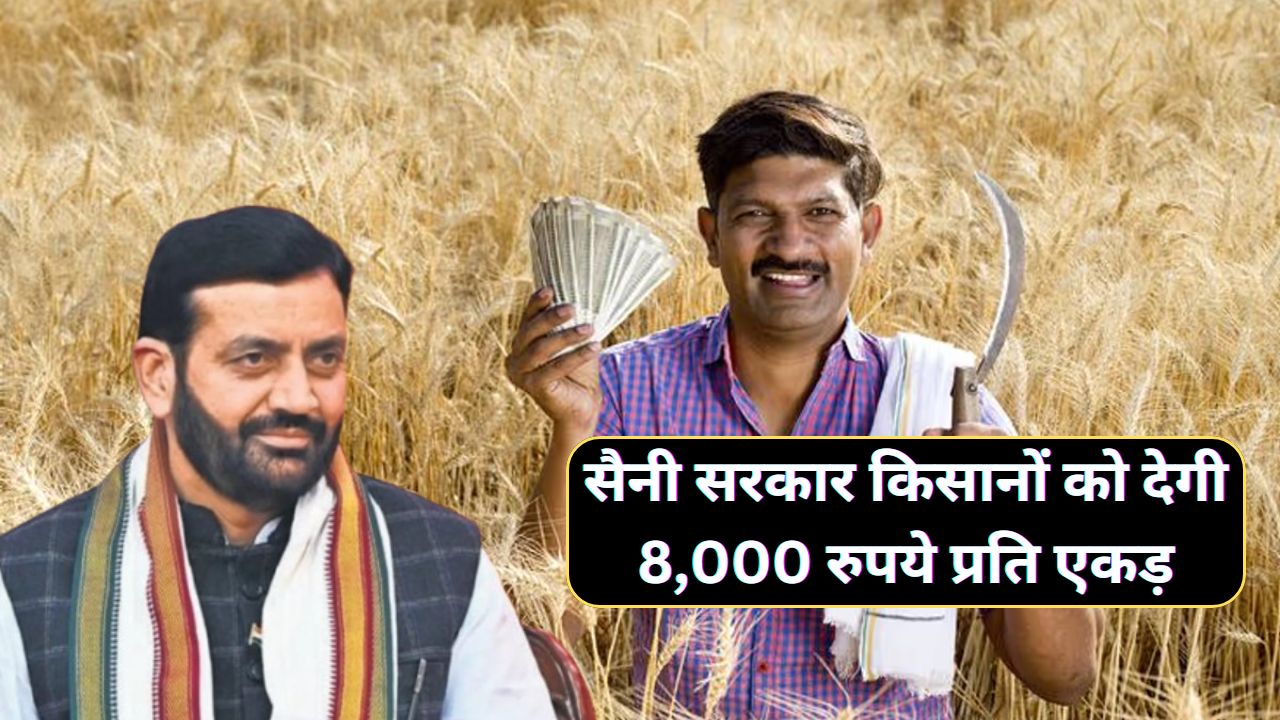 Haryana News