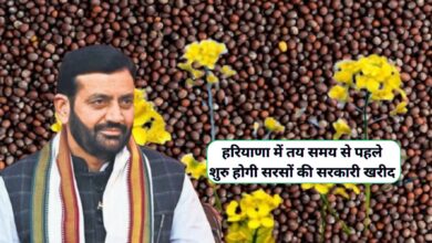 Haryana News