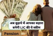 LIC Smart Pension Plan