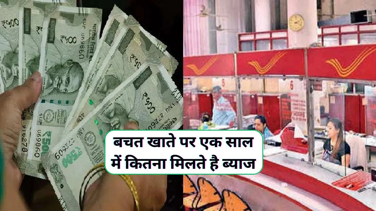 Saving Account Interest Rate