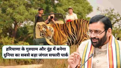 Jungle Safari Haryana