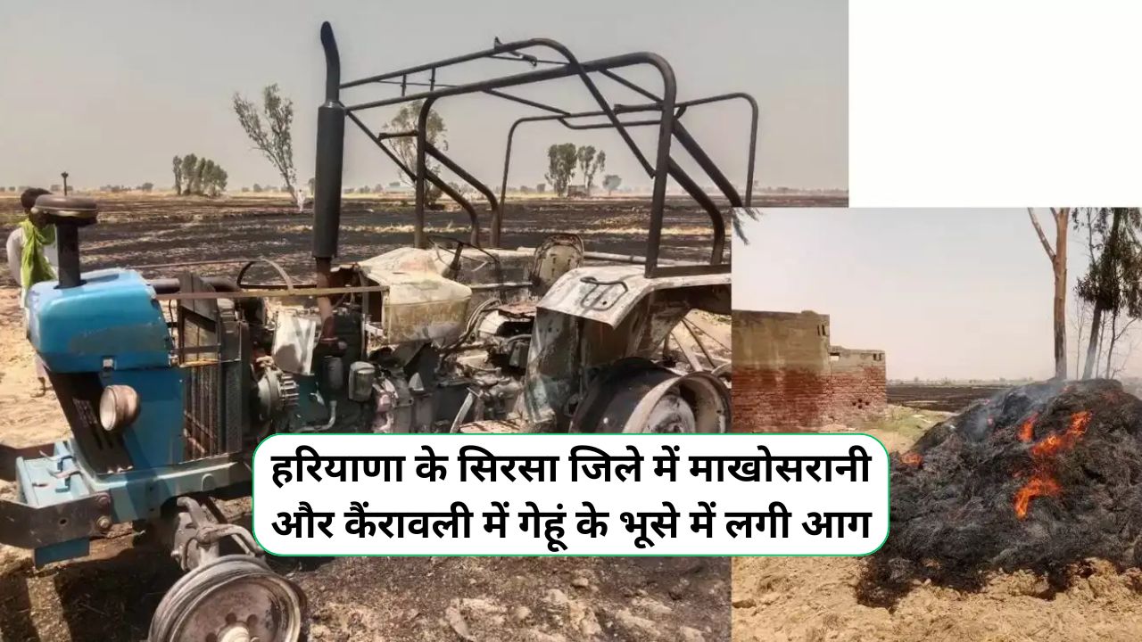 Makhosrani News