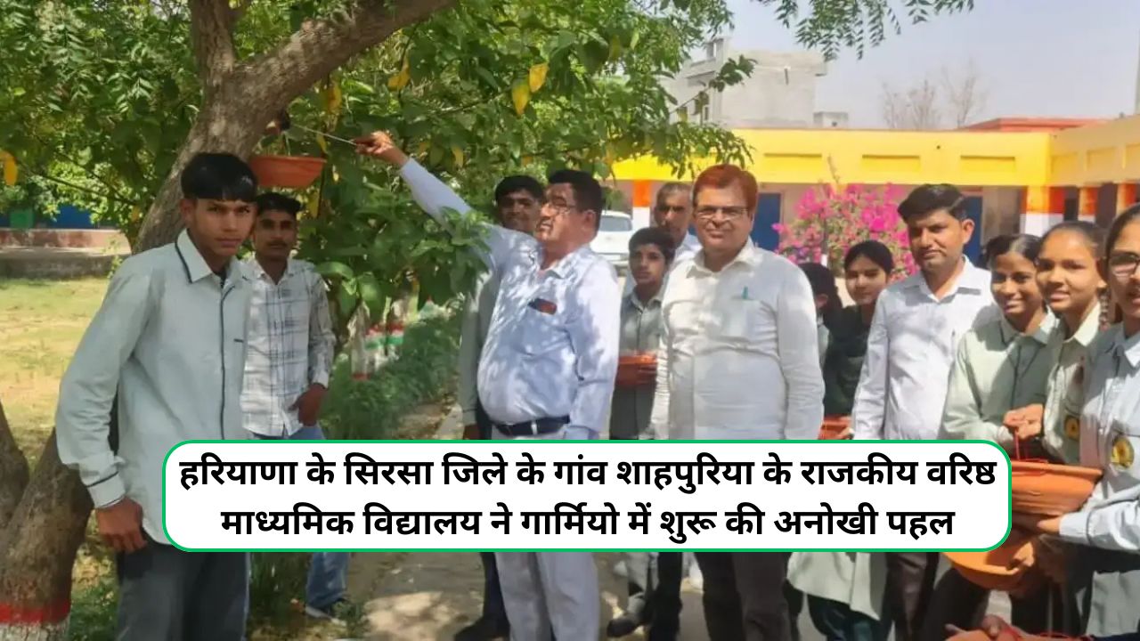 Shahpuria News