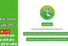 HBSE 10th Result 2025