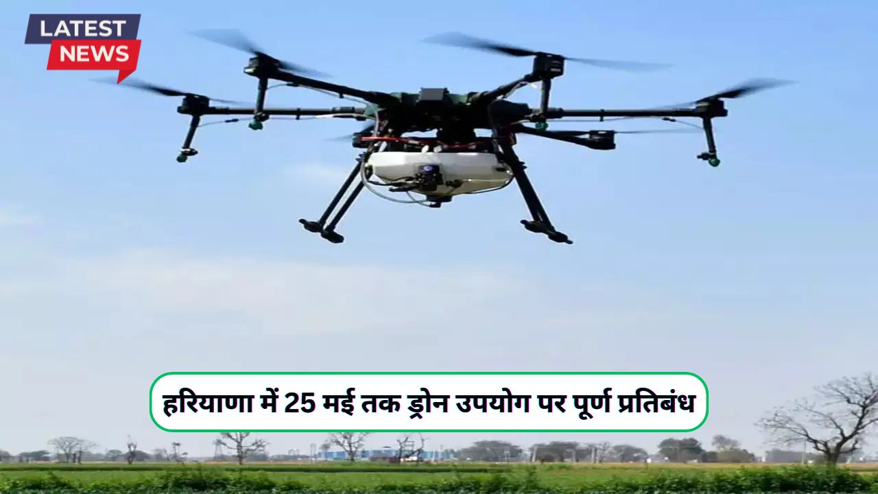 Haryana News