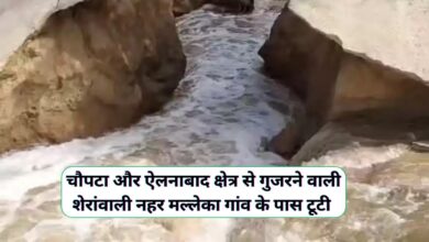 Sheranwali News