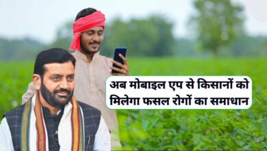 Haryana News